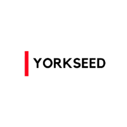 yorkseed