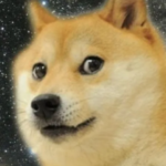 Profile picture of sivard